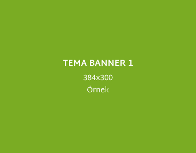 TEMA BANNER 1 BAŞLIK